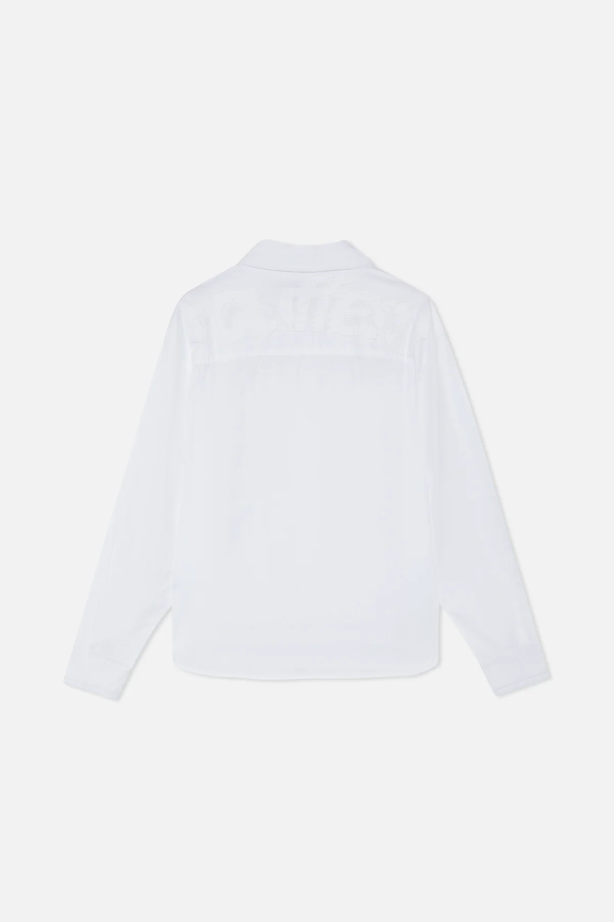 Palewhiteshirt Sem42 2 Jpg