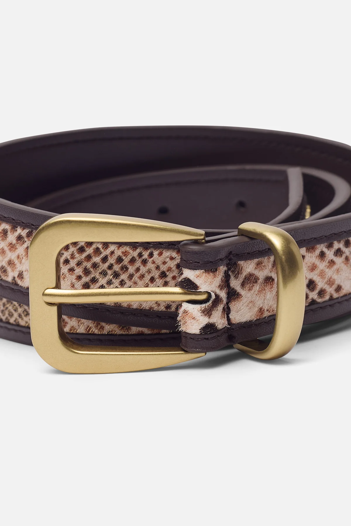 Sabanaleopardbelt Drop6 2 Jpg